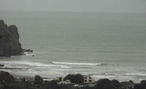 Piha surf